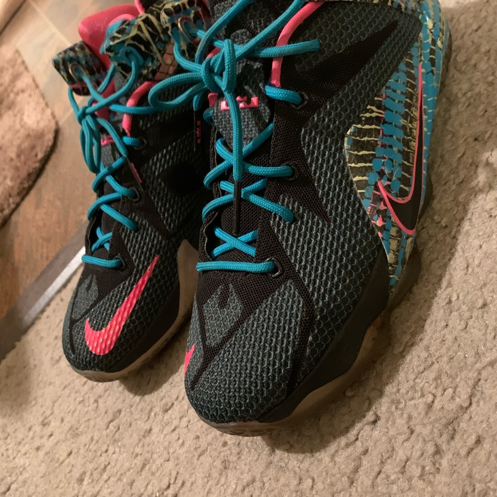 Lebron chromosomes - Picture 2 of 6